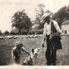 Jill Ray with the shepherd and his dog ( and sheep) on the Village Green in 1940s